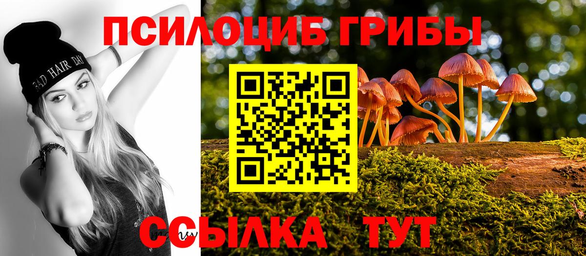 Галлюциногенные грибы Psilocybine cubensis Нурлат